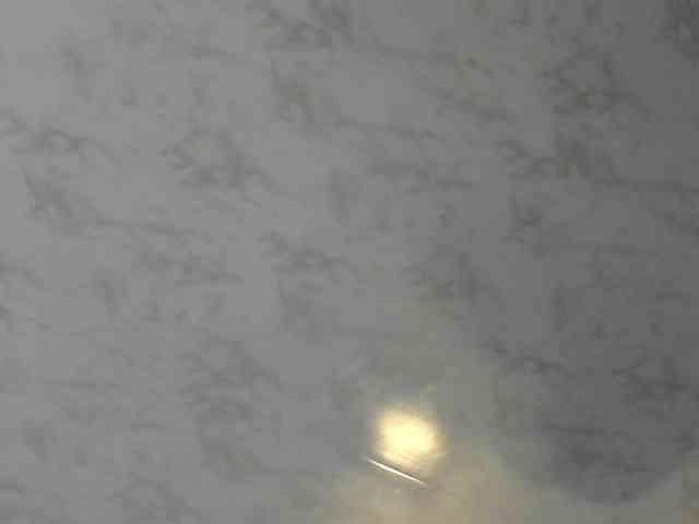 venusxadam webcam