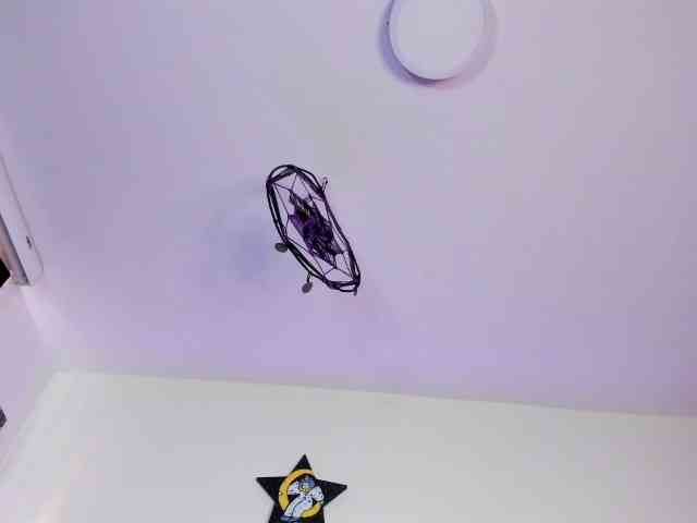 venusxadam venusxadam