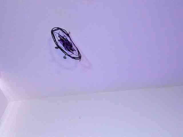 venusxadam venusxadam