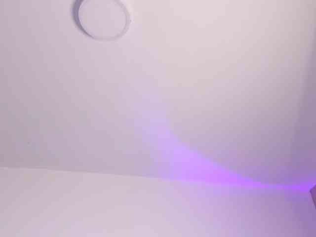 dearvenus webcam