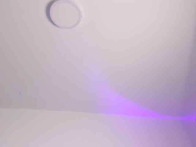 dearvenus webcam