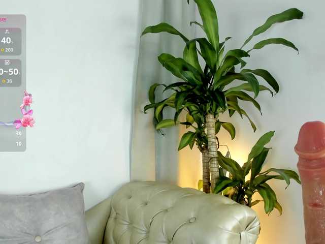 Jentokio live cam profile