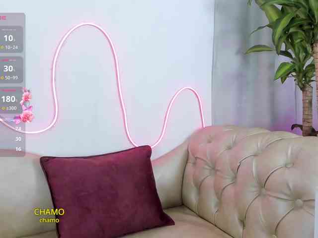 Jentokio webcam
