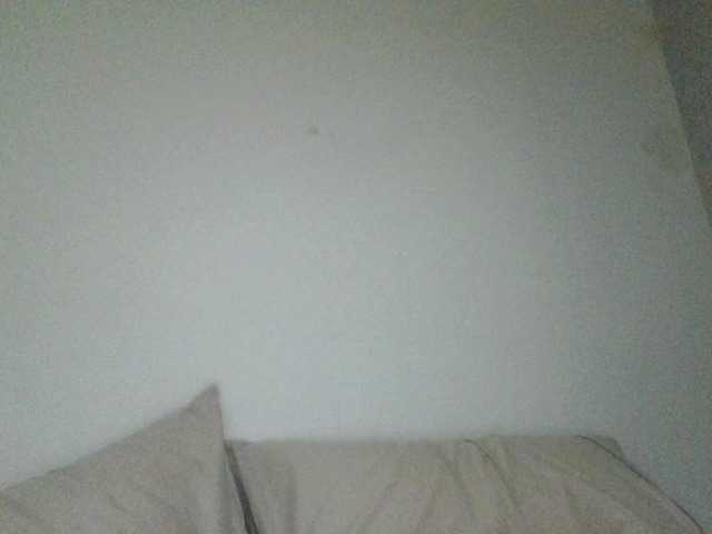 Fenix-en-el-pecho webcam