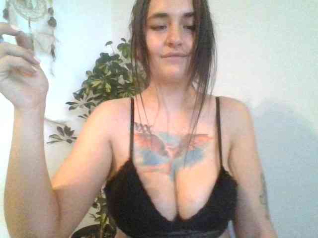 Fenix-en-el-pecho webcam