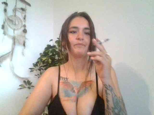 Fenix-en-el-pecho webcam