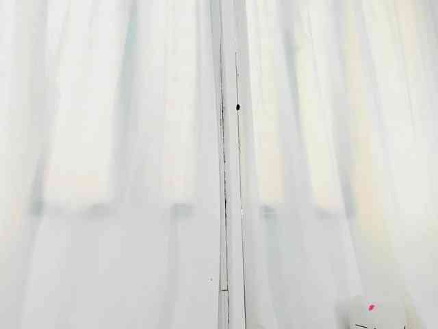 cataleyah-0726 webcam