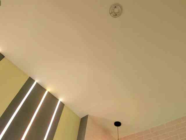 FernandaX1 webcam