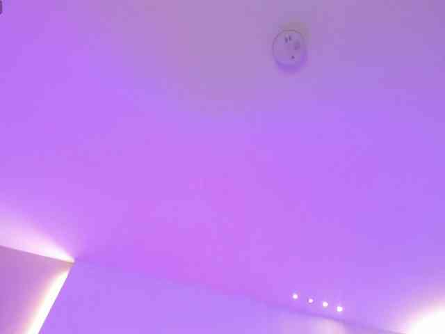 FernandaX1 webcam