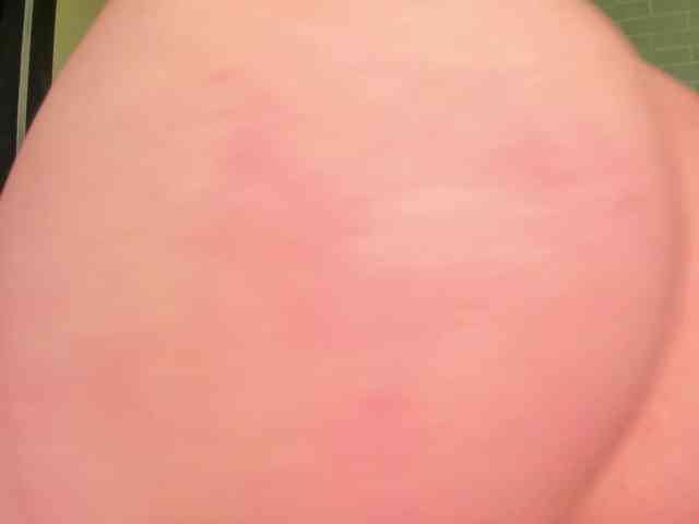 FernandaX1 webcam