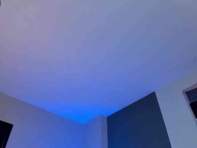 FernandaX1 webcam