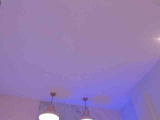 FernandaX1 webcam