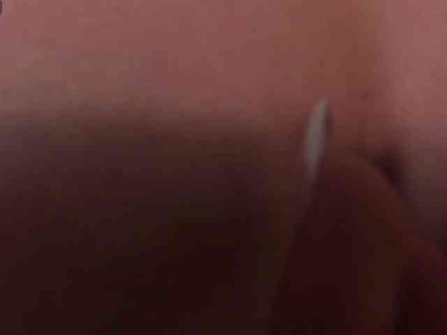 FernandaX1 FernandaX1