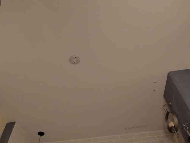 FernandaX1 webcam