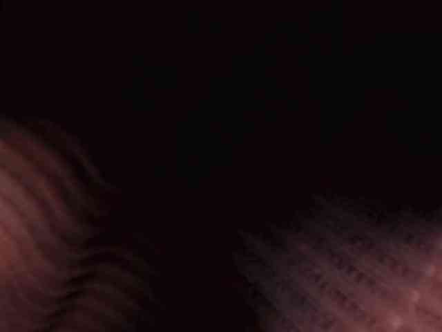 BellaCarteer webcam