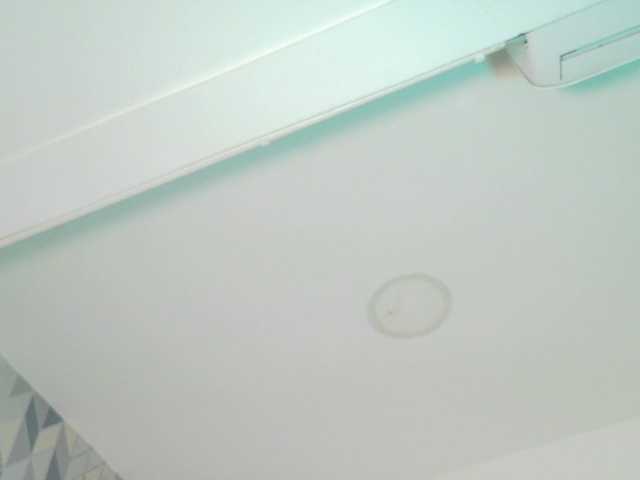 Preview of kinkyandsavage