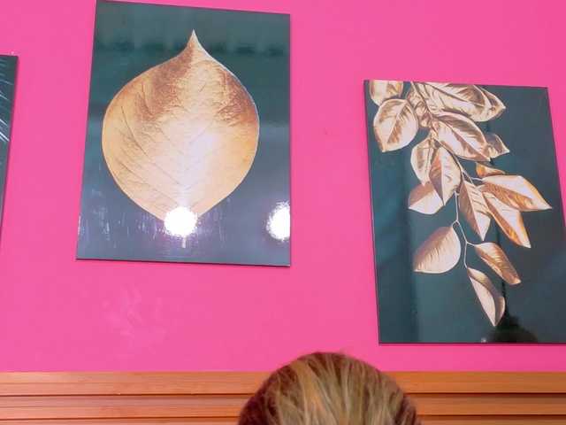 kinkyandsavage's BongaCams show and profile