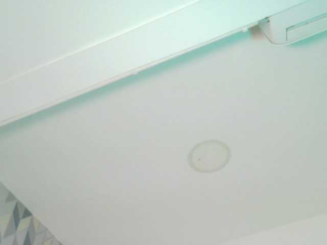 Preview of kinkyandsavage