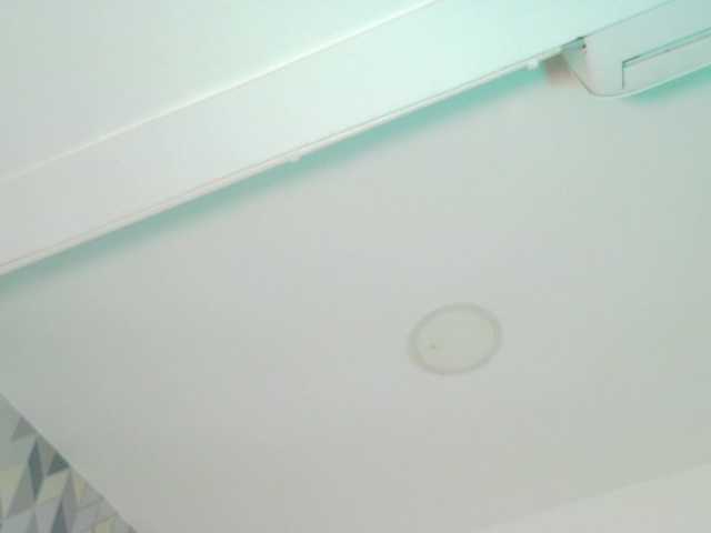 Preview of kinkyandsavage