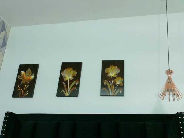 kinkyandsavage's BongaCams show and profile