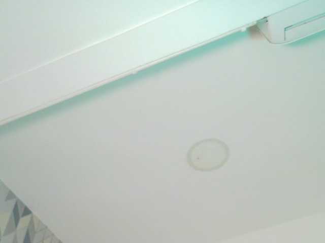 Preview of kinkyandsavage