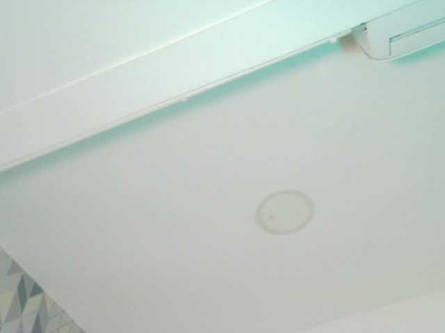 Preview of kinkyandsavage