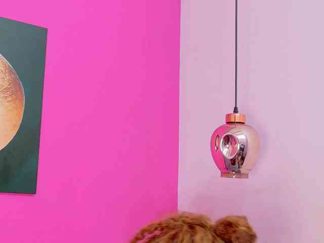 kinkyandsavage webcam