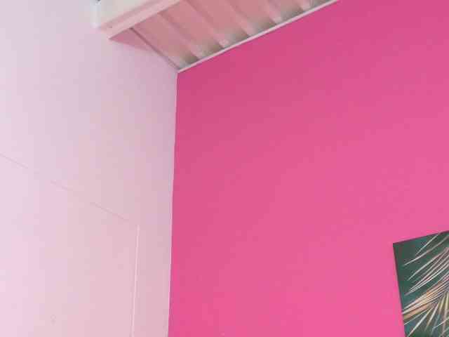 kinkyandsavage webcam