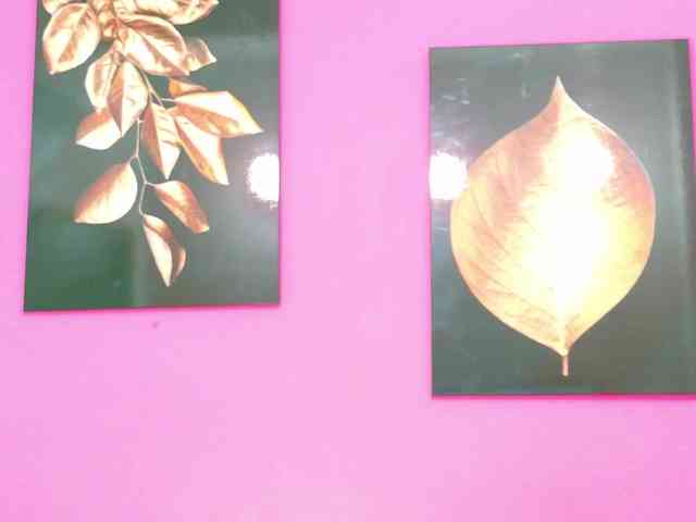 kinkyandsavage kinkyandsavage