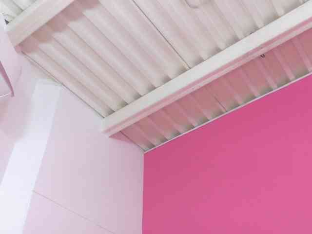 kinkyandsavage webcam