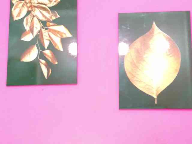 kinkyandsavage webcam