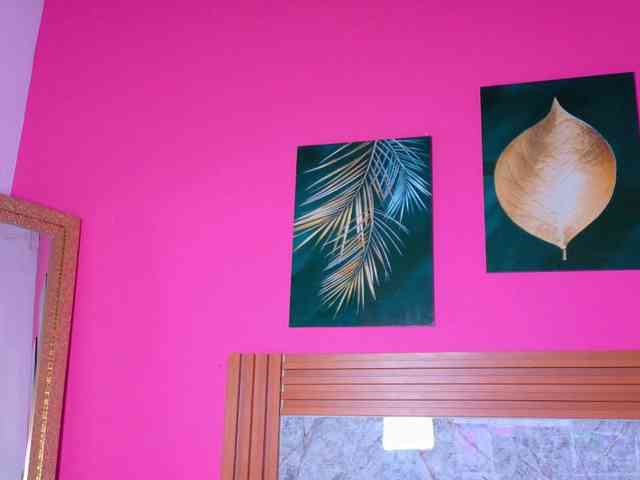 kinkyandsavage webcam