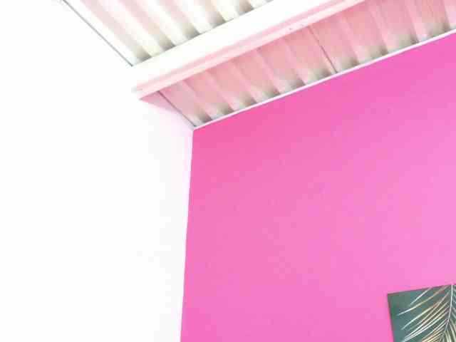 kinkyandsavage webcam