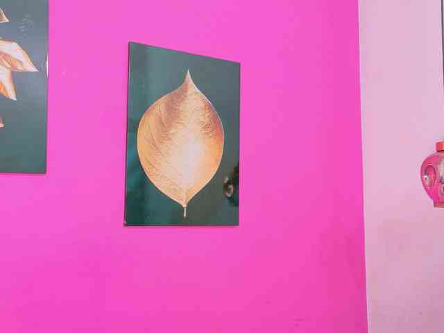 kinkyandsavage webcam