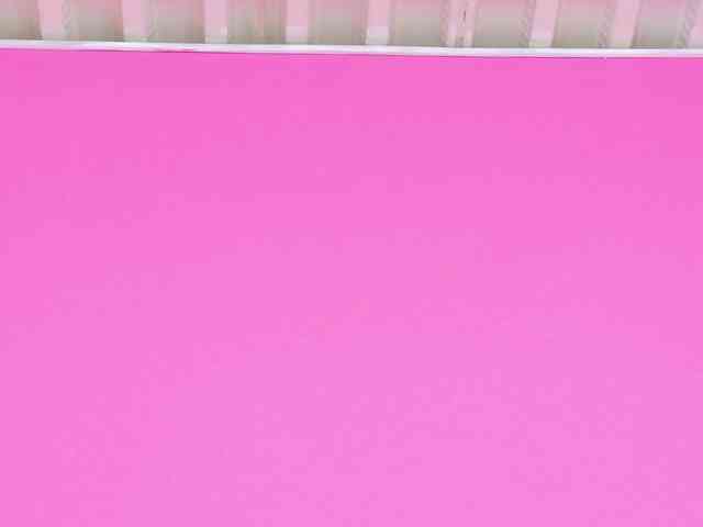 kinkyandsavage webcam