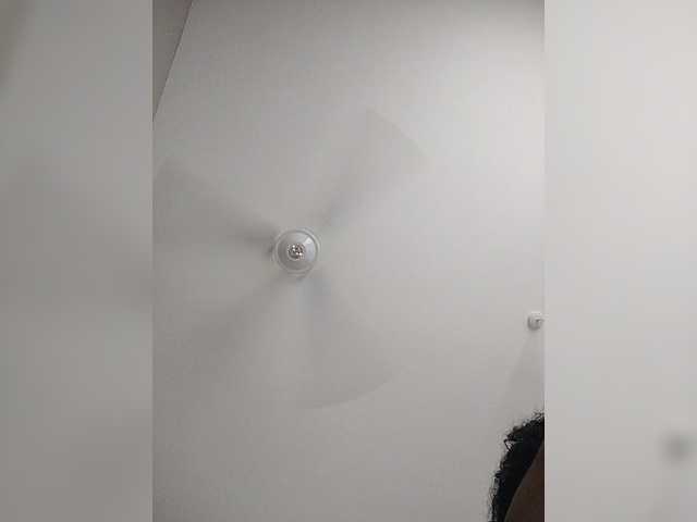 Camdolie's BongaCams show and profile