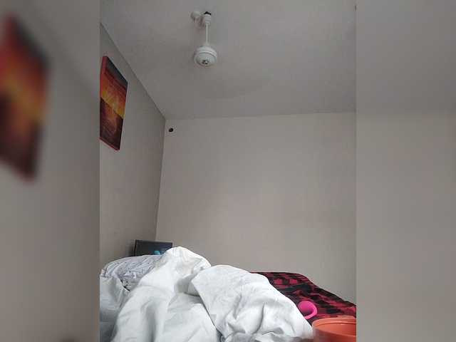 Camdolie's BongaCams show and profile