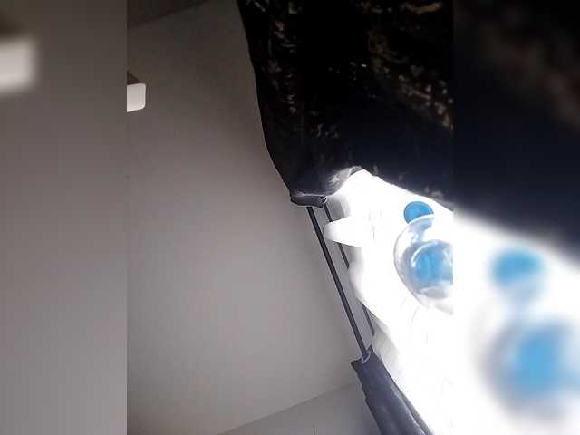 Camdolie's BongaCams show and profile