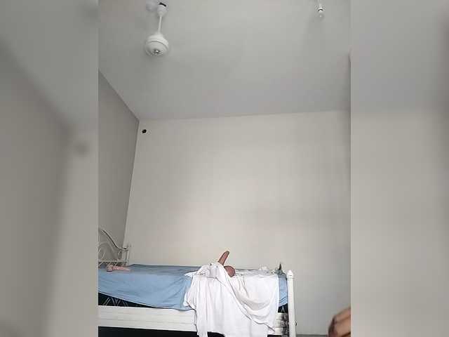 Camdolie's BongaCams show and profile