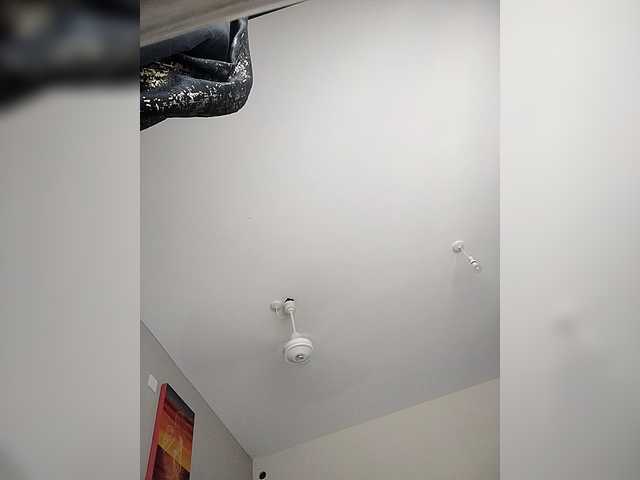 Camdolie's BongaCams show and profile