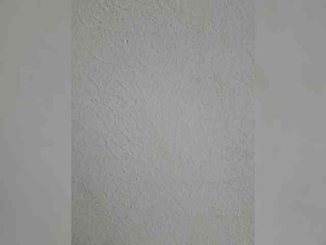 Camdolie webcam