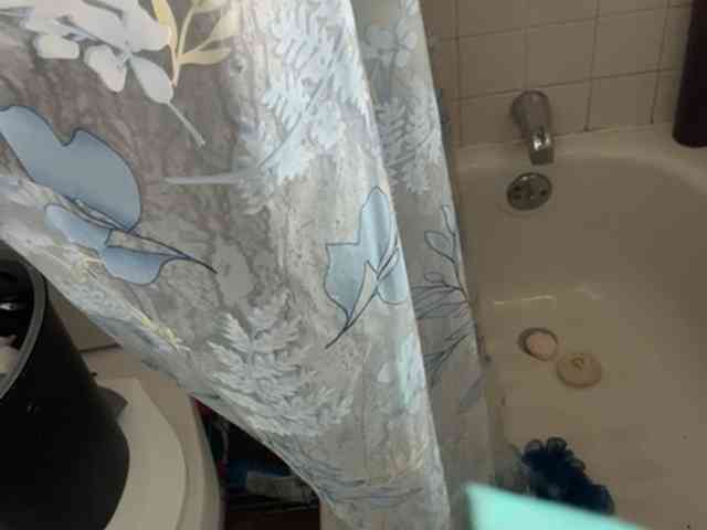 Lostnalice webcam