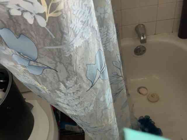 Lostnalice webcam