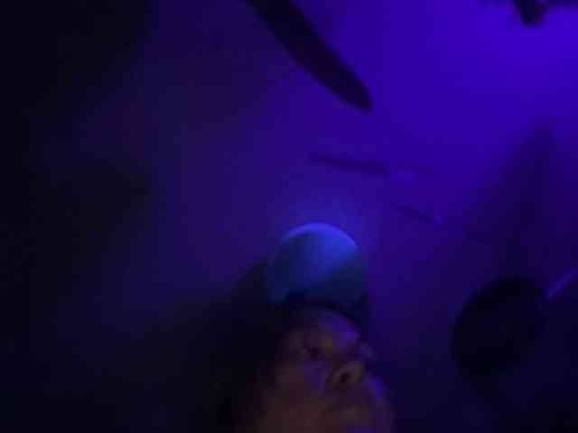 Lostnalice webcam
