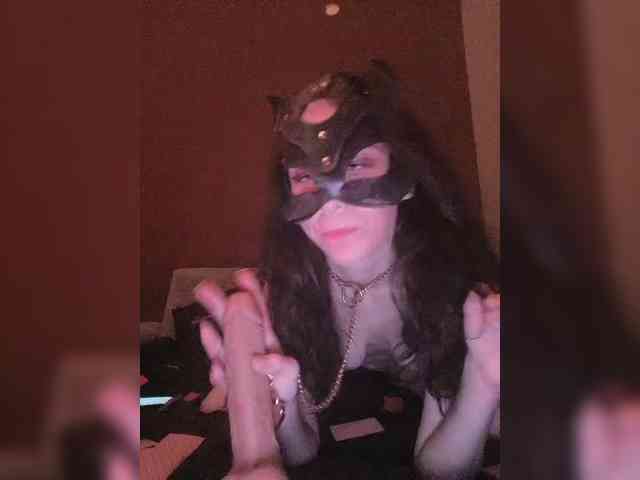 KosmosAndPingvin webcam