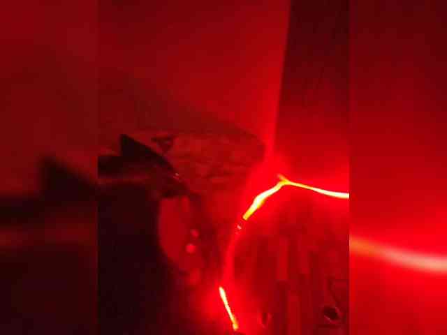 webcam sex dirty KosmosAndPingvin