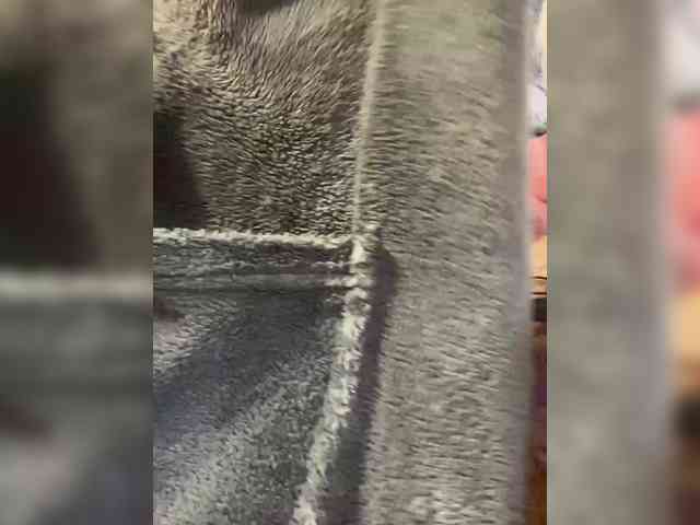 BennyDickk BennyDickk