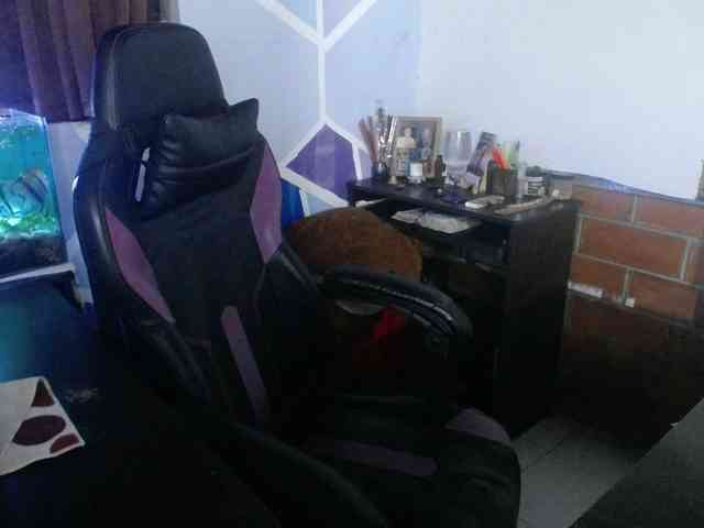 beautifulchubbyqueen webcam