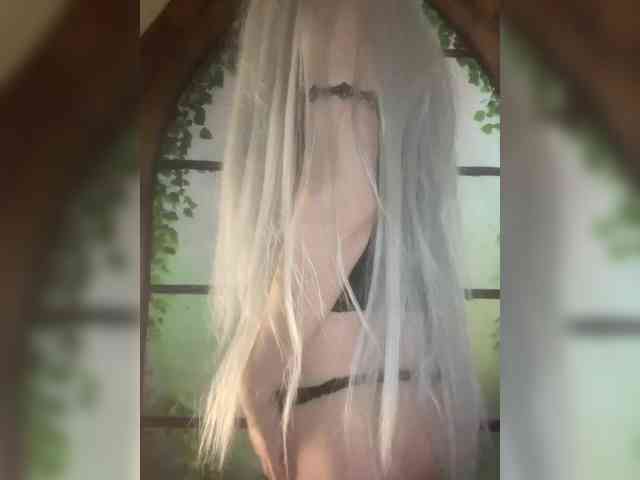 Kuca webcam