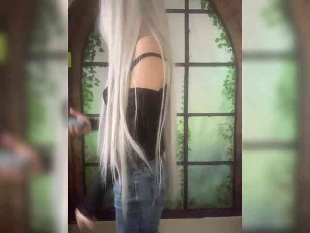Kuca webcam